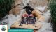 Rafting Pangalengan